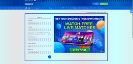 Crickex Casino registration form